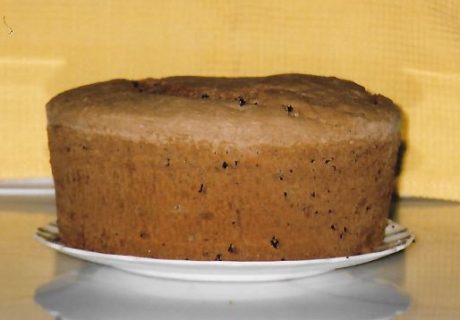 Susan Juster Viner’s Mocha Chip Sponge Cake